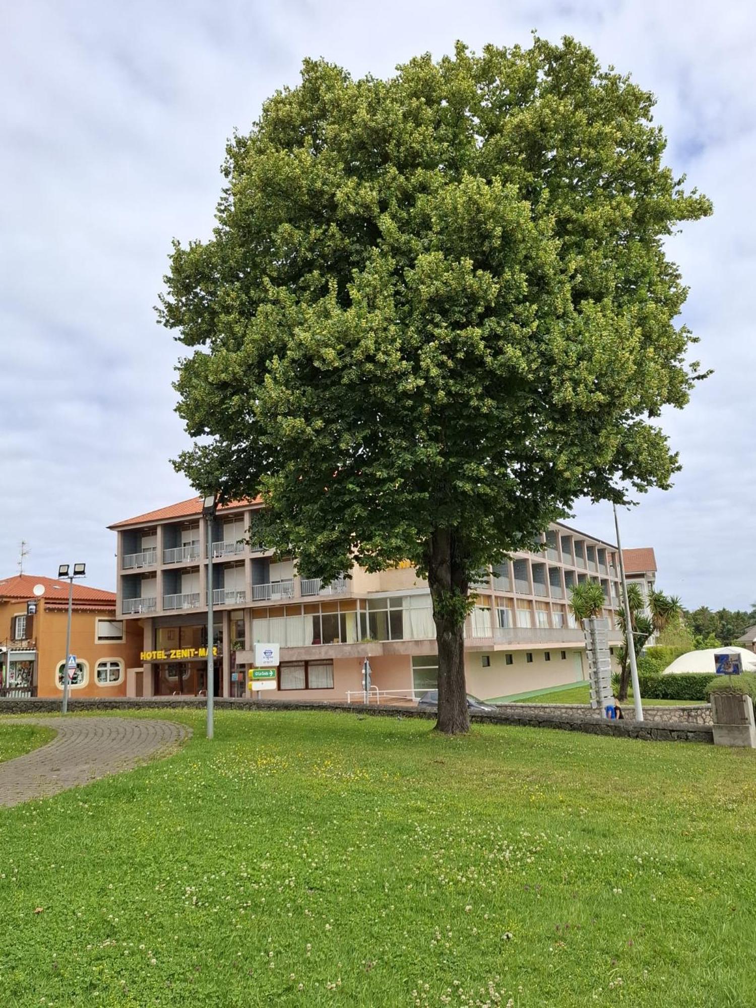 Hotel Zenit Mar Noja Exterior photo
